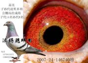 �Ӵ��ܷɡ���Ӯ�ľ��Ǻø���