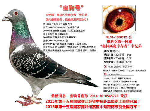 ÿ��һ�룺��������ھ��ı��Ժ�