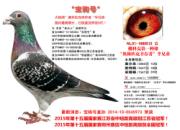 ÿ��һ�룺��������ھ��ı��Ժ�