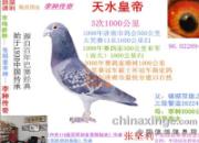 �����ĵ�ϵ��ƪ֮ʮһ������������