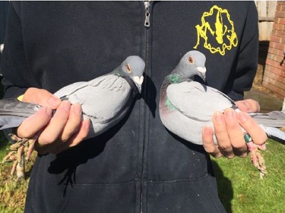 ī������ȫ��������� ���˸��ѻ��λ