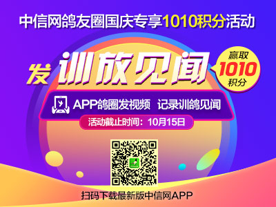 鸽友圈训放见闻活动截止：发训放视频 赢1010积分