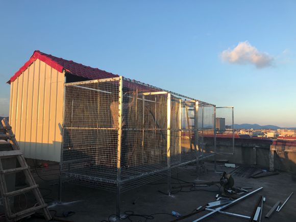 �������� 7000Ԫ����¥������