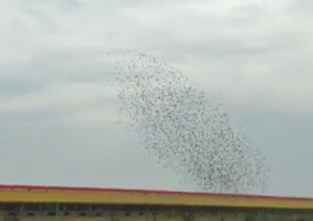 ���Ļƺӹ������2018���＾ѵ�ŵ�һǹ