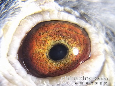 ���գ�����������������������ؾ���һ��