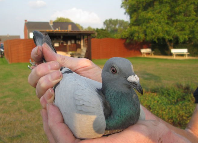 74���˹�ٱ�������  ն��KBDBȫ���׸�����ھ�