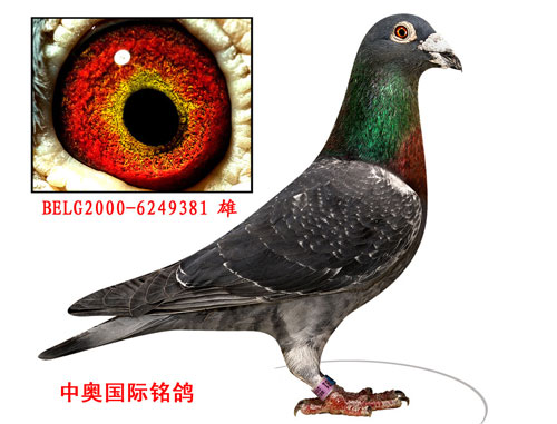 ÿ��һ�룺ɽ���а����ۡ���ʯ���ء�