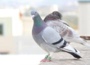 û���ӽ���û����� ǳ̸��Ʒϵ����