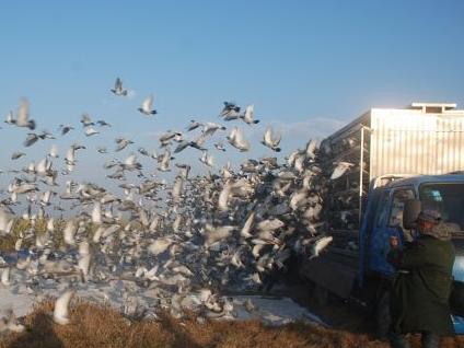 ���ִ��ź�100�����շ�վ ���չ鳲�ʸߴ�93.94%��