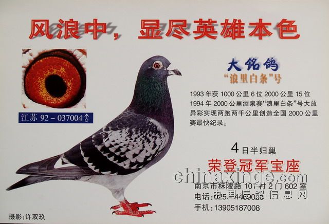 ÿ��һ�룺�ۼƾ���һ�����ϡ����������