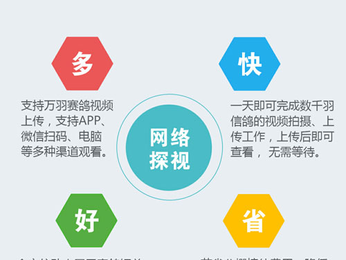 ������Ƶ̽�ӹ����ù���͸��������