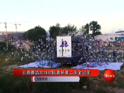 ��Ƶ���ƶ�����2018�Կ��߱��ڶ��ؼ���ŷ�ȫ��¼