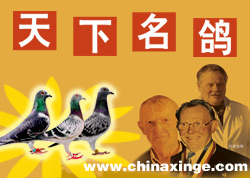 �����������ͣ��������е�ż�� ����·�ϵ�����