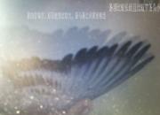 ����ʶ�룺һ�־��� һ�ֳ��