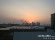 ���쳤�١��ٸ硱ͻϮ  ����Ҳ��̶�