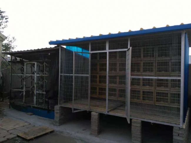 �������ƻ���أ����첻���� �ָ����Ȼһ��