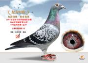 ÿ��һ�룺ɣ��ʿ֮���������ܡ�(ͼ)