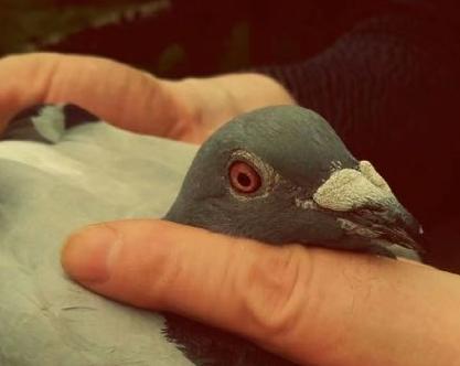 ���������� ���ֱؿ���