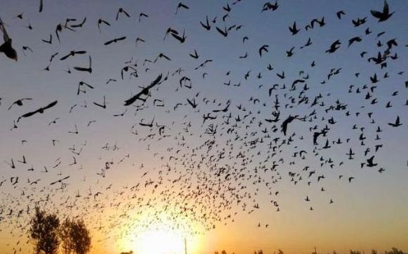 ������ᡰ���ˡ����ִ������������£�ͼ��