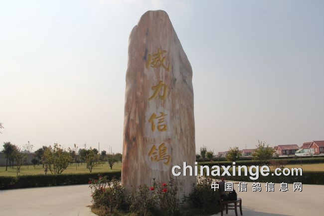 ϲ�������׹��� �������뿭���飨ͼ��