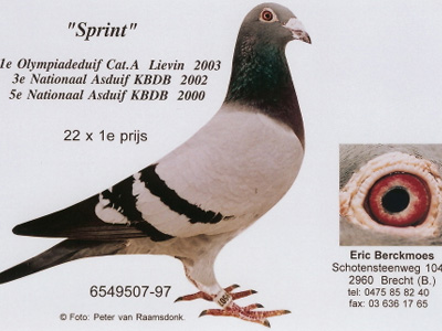 ÿһ룺22ιھ֮š(ͼ)