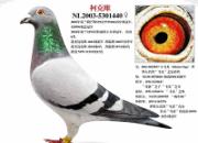 ÿ��һ�룺����12����ھ����¿˴ơ�