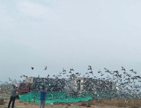 �������ʷ������ �������ֲ��ڶ��س����䶨