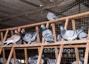 �ٿƳ�֪ʶ�������ؼ���Ҫ�ø�����Ϣ��