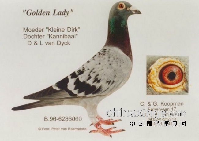 ÿ��һ�룺���������ƽ�Ů�ɡ�(ͼ)