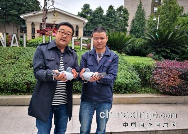 ����������e�塱֧Ԯ�Ĵ��������ж�ھ�(ͼ)