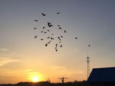 �������� ̨�����ʮ���𡰲ؾ��ˡ����u�Դ�