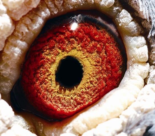 ̨����ѣ�����ѧ�����һ�˳µ�����