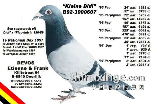 ÿ��һ�룺�����������С�ϵϡ�