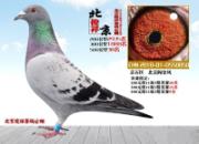 ��������Ӯָ�� Ǯ������̺�����