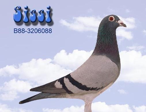 ÿ��һ�룺�Ӵ����ǹھ��ĳ�롰˿˿��(ͼ)