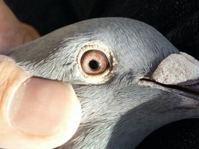 ���ۻ�䣿һ�𿴿��������