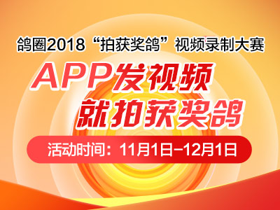 秋赛夺大奖 视频发鸽圈 获奖鸽视频录制大赛截止！