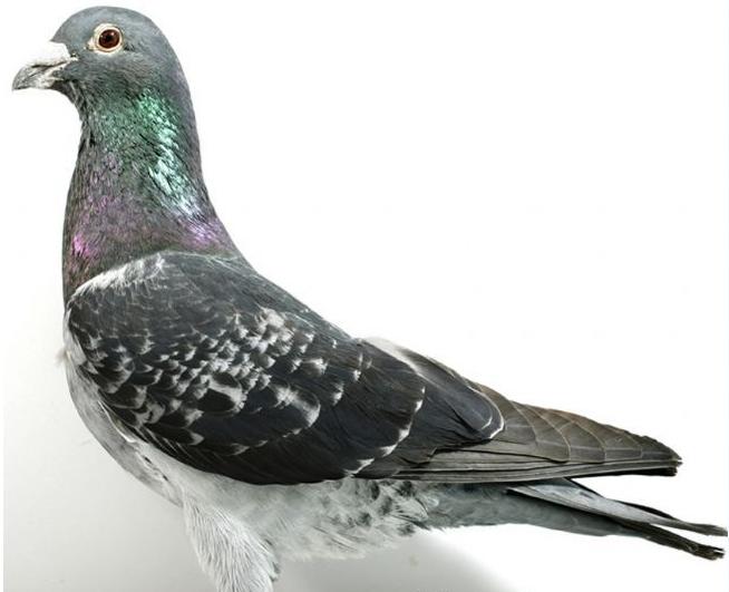 ÿ��һ�룺��������ķɳ�Զ��