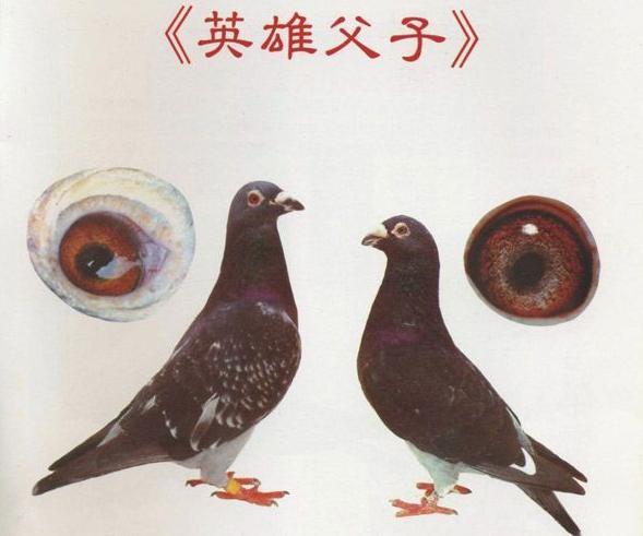 ÿ��һ�룺�����ĳ�Զ����������(ͼ)