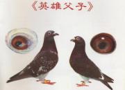 ÿ��һ�룺�����ĳ�Զ����������(ͼ)