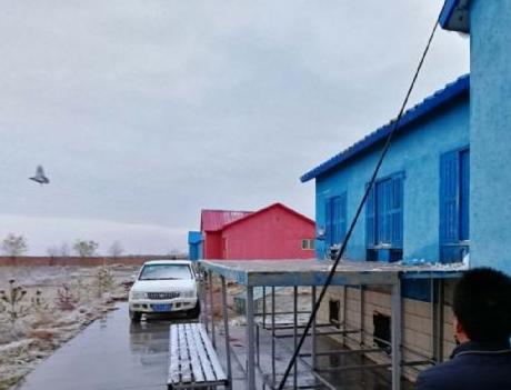 �����붥��紩��ѩ ��������Ѫս�뿭����ͼ��