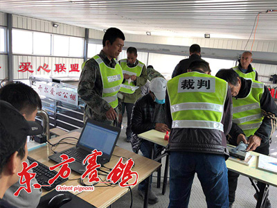 �����������밮�Ĺ���530������������ɧ