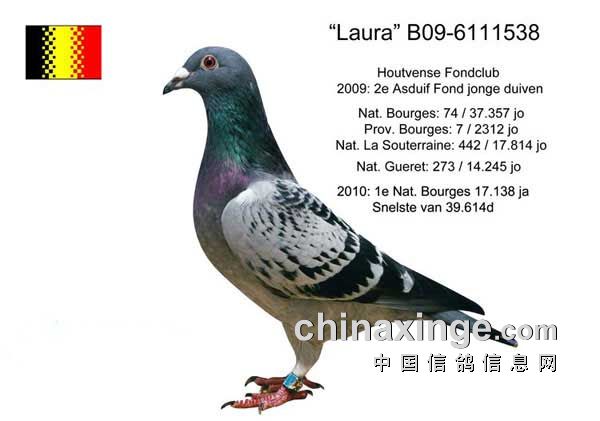 ÿ��һ�룺���������ֹ�������С�ӡ�(ͼ)