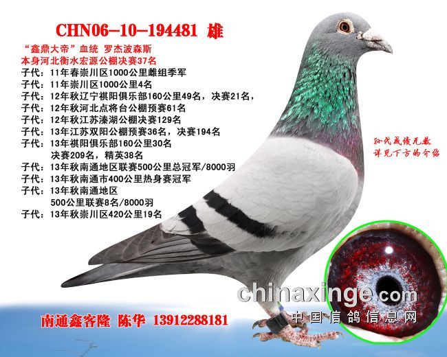 ÿ��һ�룺�����Ĵ�ǿ�Ʒ��ӵġ��ζ���ۡ�