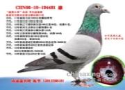 ÿ��һ�룺�����Ĵ�ǿ�Ʒ��ӵġ��ζ���ۡ�