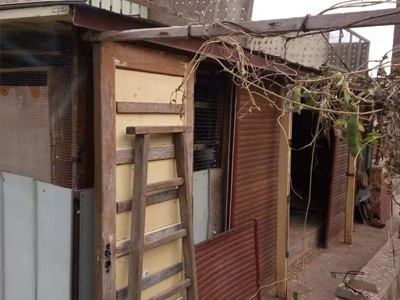 ����ר�ã��ҵĺ��ֵܹ�ɽ