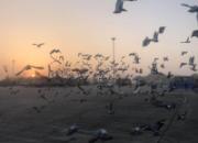 �����������ط�����ӿ �й���һ���������ۺϹھ�