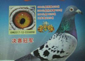 ���ߵĸ��ѣ����ﳣʤ��