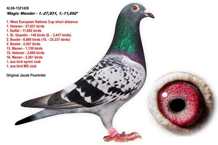 ÿ��һ�룺���ʸ����ھ������