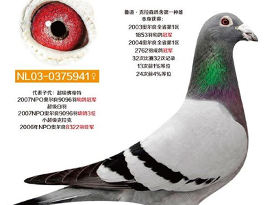 ÿ��һ�룺�����ᳬ�������ˡ�(ͼ)